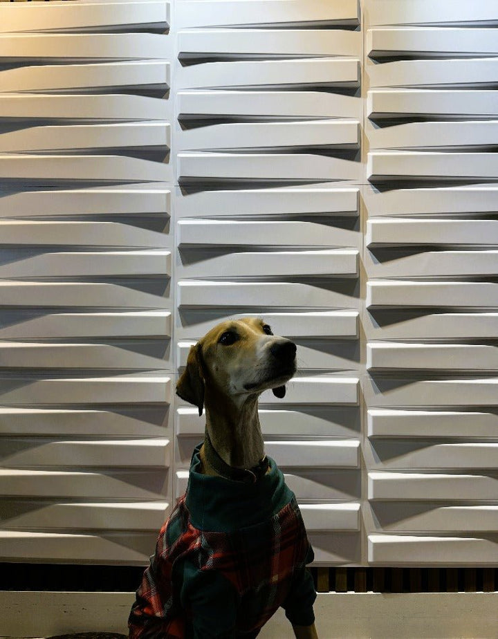 Close-up of the texture on Bars 3D PVC wall panels with sighthound sat in front
