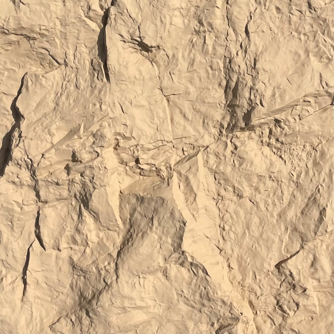 A close-up of the rock texture with deep shadows and creases filling the frame.