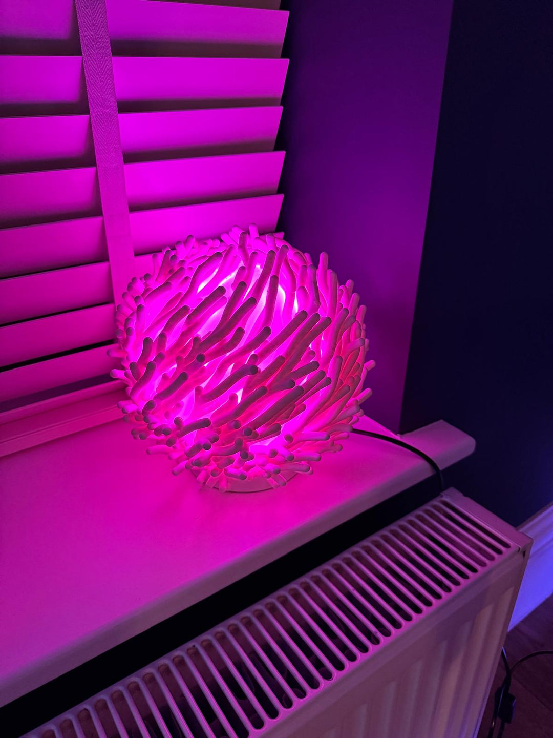Coral 3D Lamp - The 3D Wall Panel Company