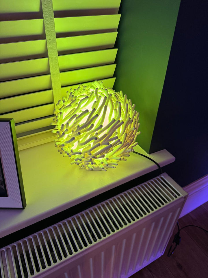 Coral 3D Lamp - The 3D Wall Panel Company
